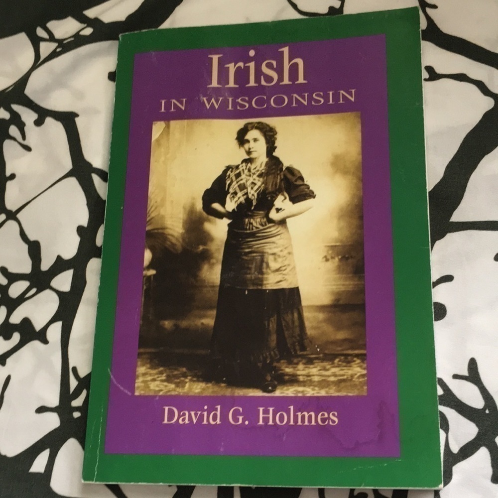 Irish In Wisconsin Paperback by David G. Holmes 2004 ☘️ History
